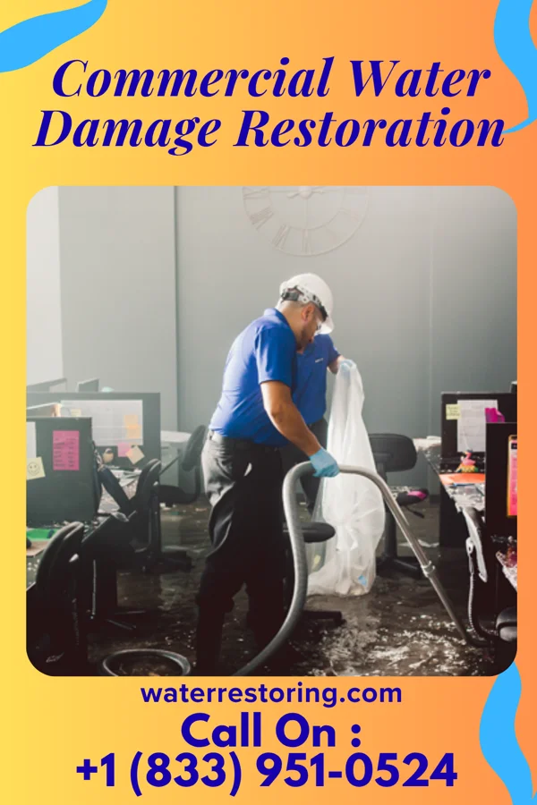 Commercial Water Damage Restoration in Grandfalls, TX